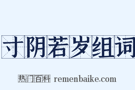 寸阴若岁组词是什么意思的图片